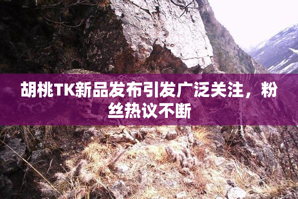 胡桃TK新品发布引发广泛关注，粉丝热议不断