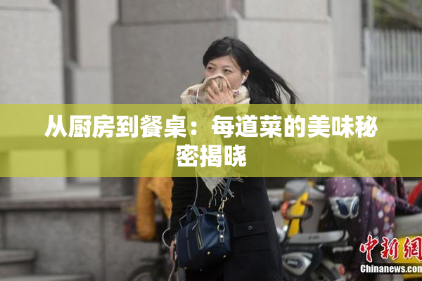 从厨房到餐桌：每道菜的美味秘密揭晓