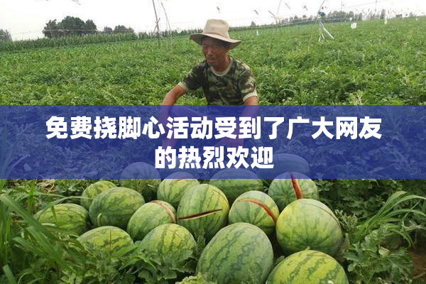 免费挠脚心活动受到了广大网友的热烈欢迎