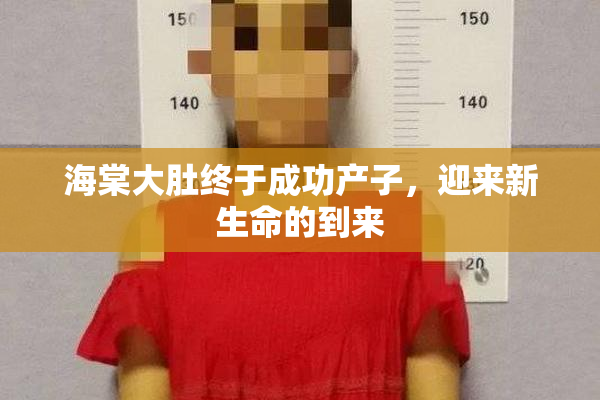 海棠大肚终于成功产子，迎来新生命的到来