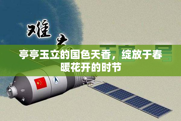 亭亭玉立的国色天香，绽放于春暖花开的时节