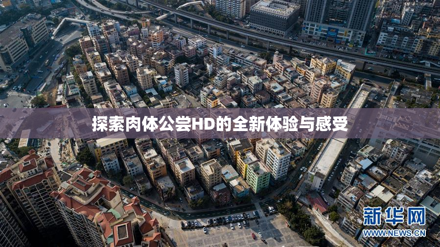 探索肉体公尝HD的全新体验与感受