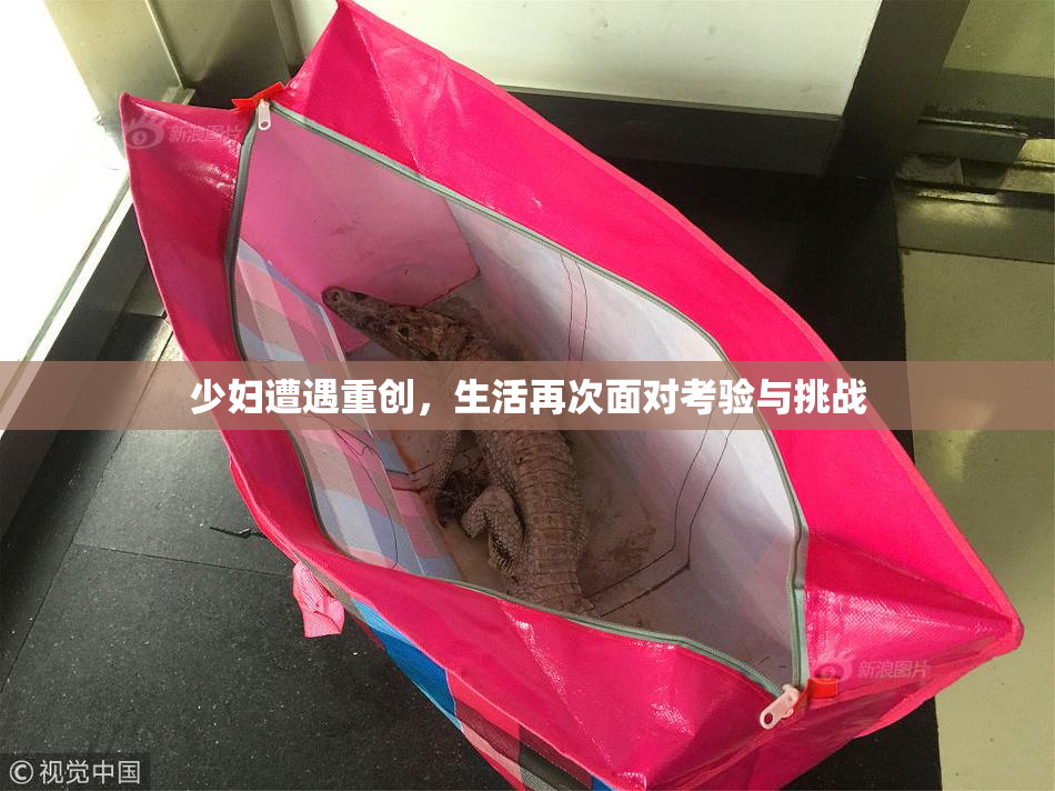 少妇遭遇重创，生活再次面对考验与挑战