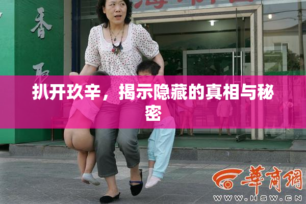 扒开玖辛，揭示隐藏的真相与秘密