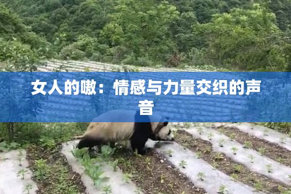 女人的嗷：情感与力量交织的声音