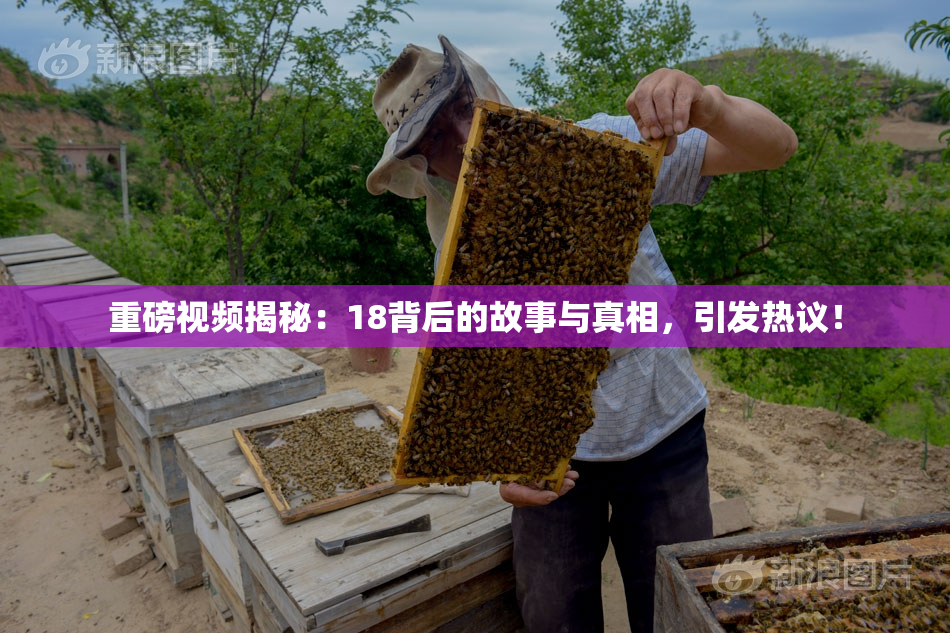 重磅视频揭秘：18背后的故事与真相，引发热议！