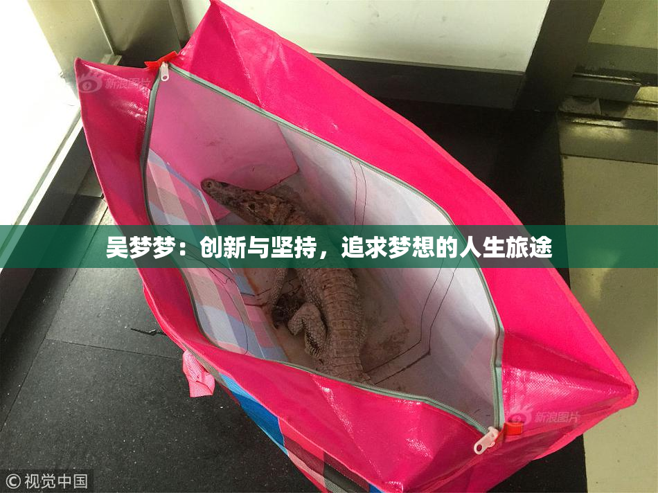吴梦梦：创新与坚持，追求梦想的人生旅途