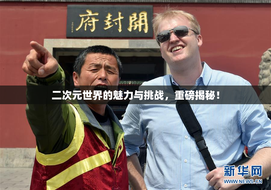 二次元世界的魅力与挑战，重磅揭秘！