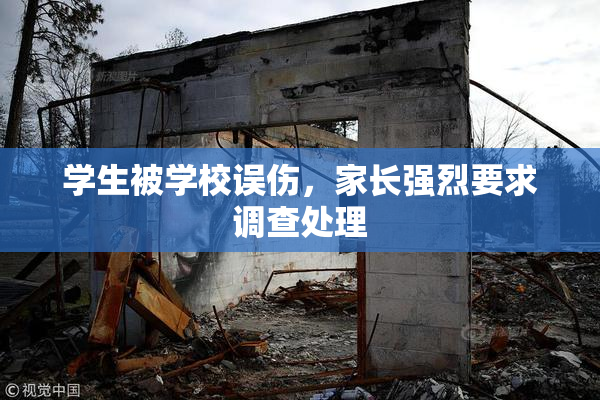 学生被学校误伤，家长强烈要求调查处理