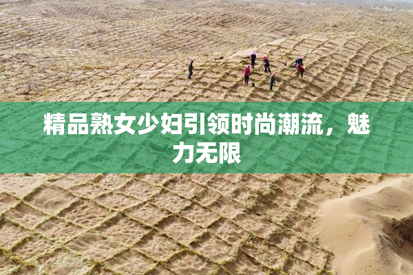 精品熟女少妇引领时尚潮流，魅力无限