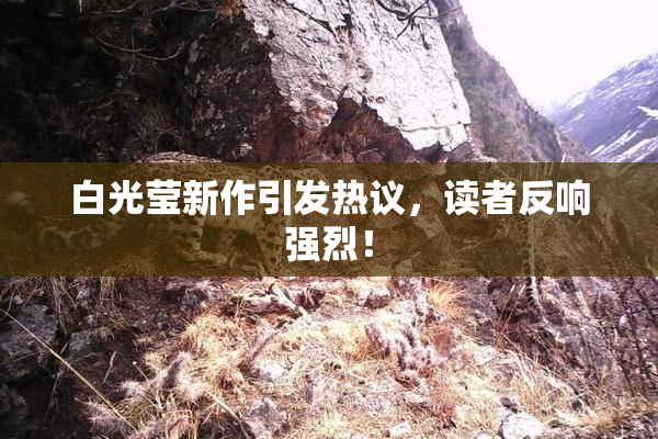 白光莹新作引发热议，读者反响强烈！