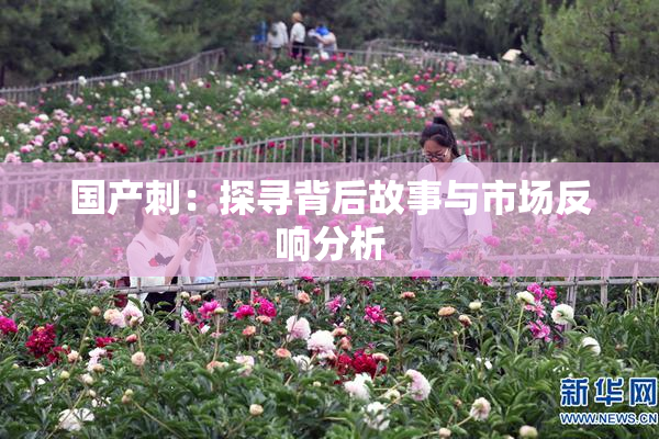 国产刺：探寻背后故事与市场反响分析
