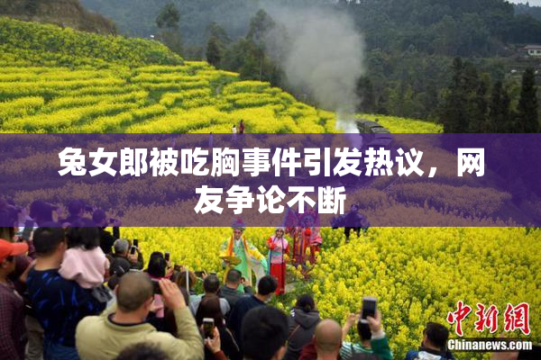 兔女郎被吃胸事件引发热议，网友争论不断
