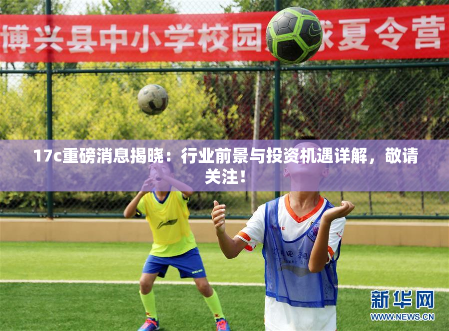 17c重磅消息揭晓：行业前景与投资机遇详解，敬请关注！