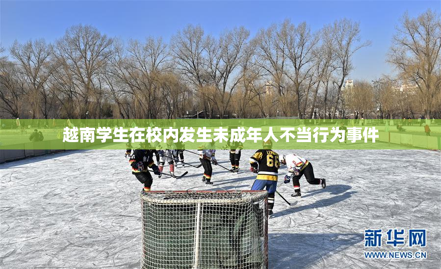 越南学生在校内发生未成年人不当行为事件