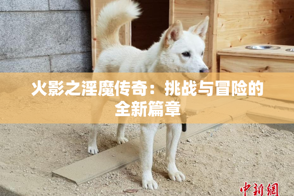 火影之淫魔传奇：挑战与冒险的全新篇章