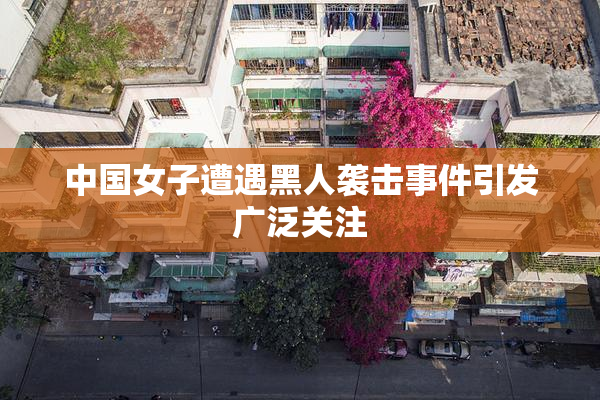 中国女子遭遇黑人袭击事件引发广泛关注