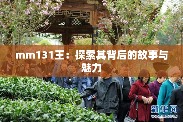 mm131王：探索其背后的故事与魅力