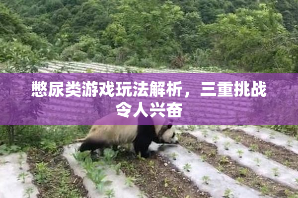 憋尿类游戏玩法解析，三重挑战令人兴奋