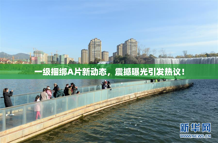 一级捆绑A片新动态，震撼曝光引发热议！