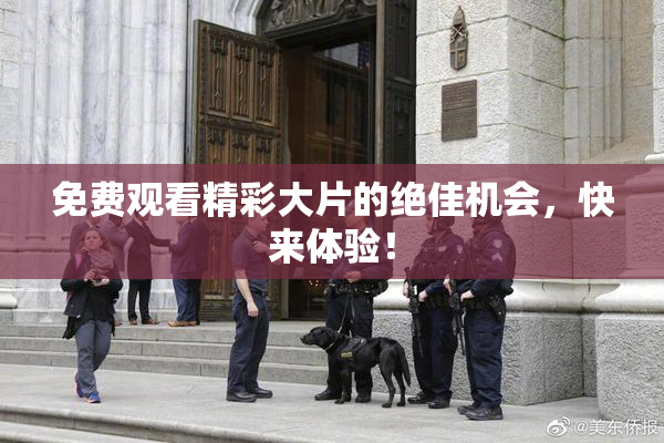 免费观看精彩大片的绝佳机会，快来体验！