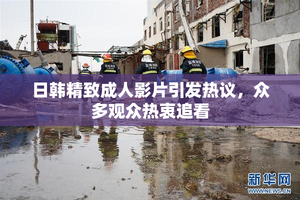 日韩精致成人影片引发热议，众多观众热衷追看