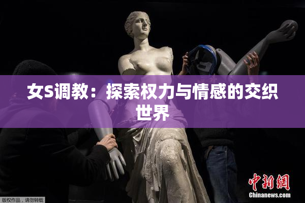 女S调教：探索权力与情感的交织世界