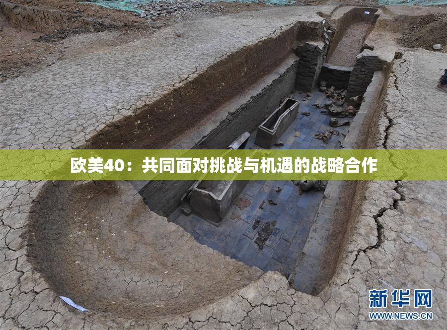 欧美40：共同面对挑战与机遇的战略合作