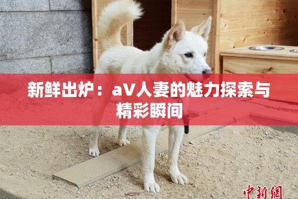 新鲜出炉：aV人妻的魅力探索与精彩瞬间