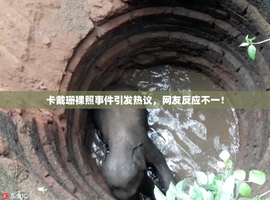 卡戴珊裸照事件引发热议，网友反应不一！