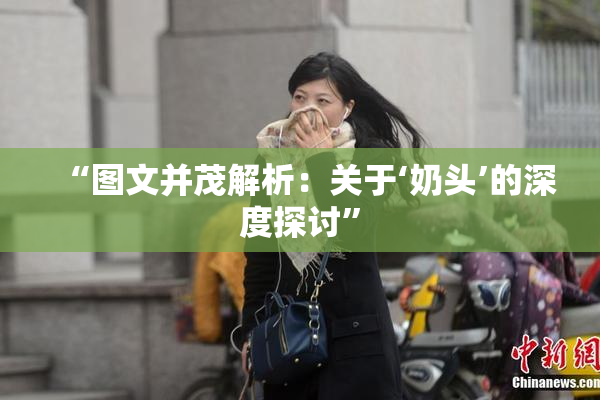 “图文并茂解析：关于‘奶头’的深度探讨”