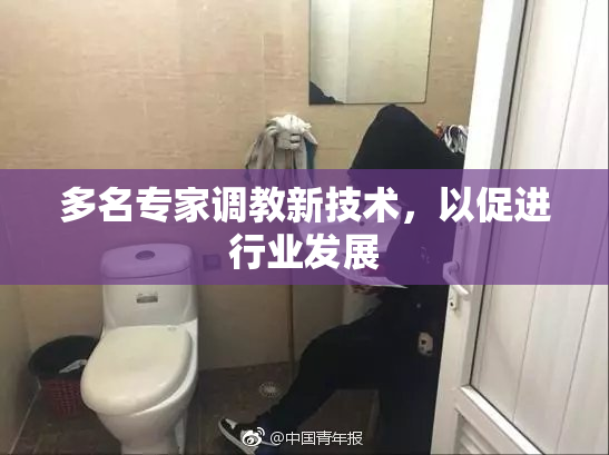 多名专家调教新技术，以促进行业发展