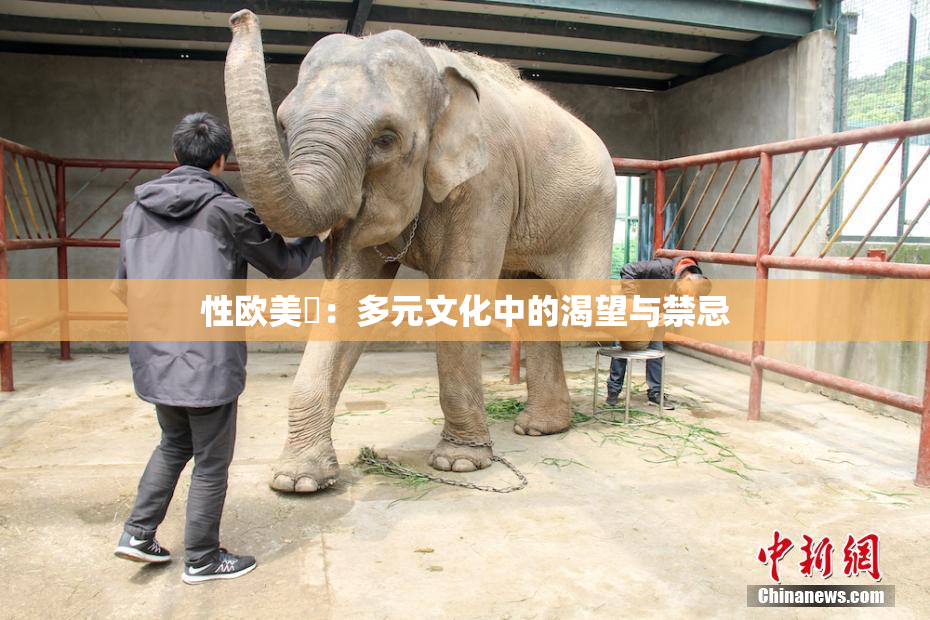 性欧美婬：多元文化中的渴望与禁忌