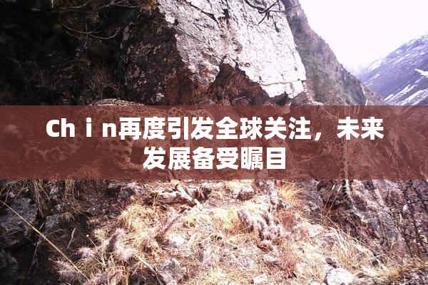 Chⅰn再度引发全球关注，未来发展备受瞩目