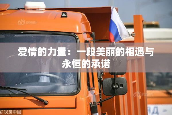 爱情的力量：一段美丽的相遇与永恒的承诺