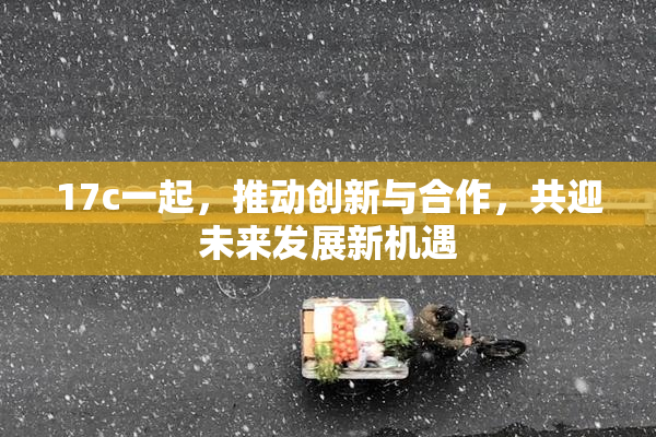 17c一起，推动创新与合作，共迎未来发展新机遇
