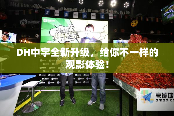 DH中字全新升级，给你不一样的观影体验！