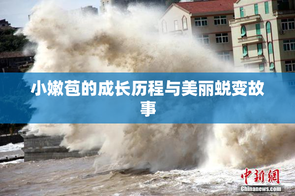 小嫩苞的成长历程与美丽蜕变故事