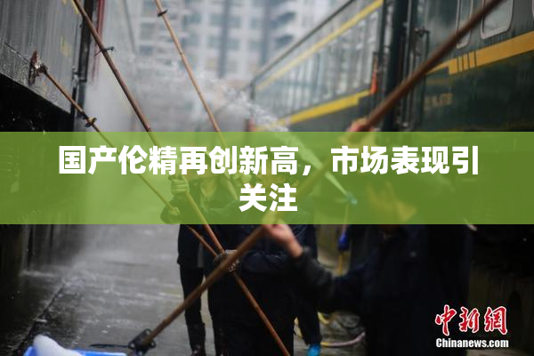 国产伦精再创新高，市场表现引关注