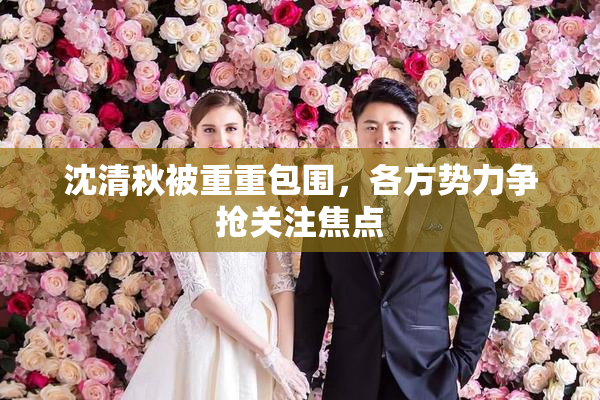 沈清秋被重重包围，各方势力争抢关注焦点