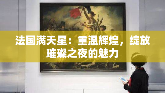 法国满天星：重温辉煌，绽放璀璨之夜的魅力