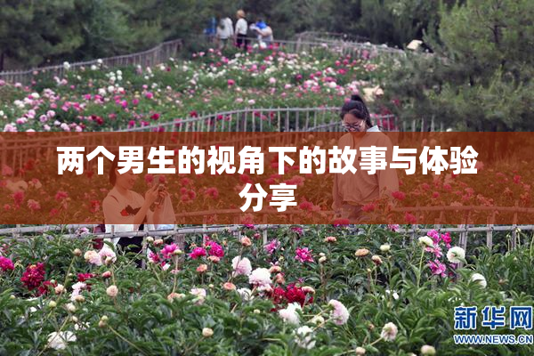 两个男生的视角下的故事与体验分享