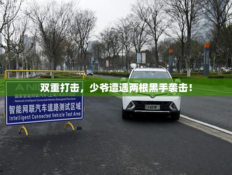 双重打击，少爷遭遇两根黑手袭击！