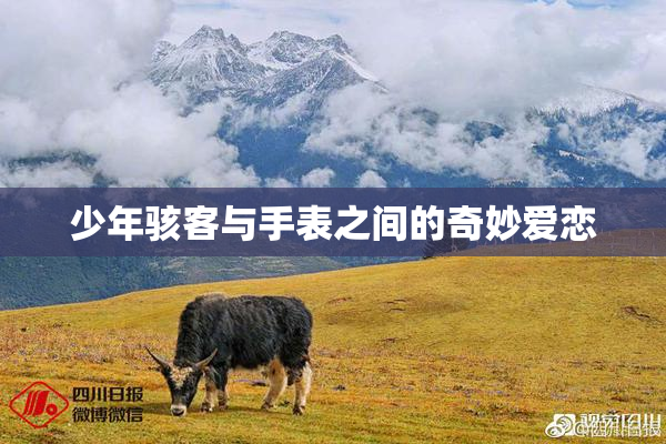 少年骇客与手表之间的奇妙爱恋