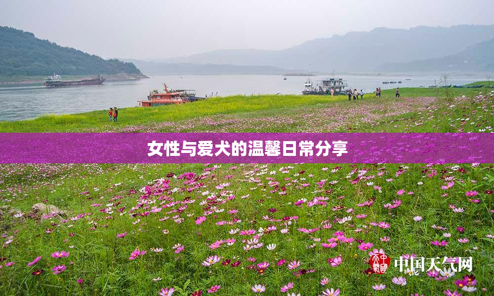 女性与爱犬的温馨日常分享