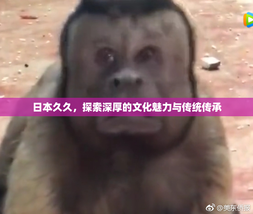 日本久久，探索深厚的文化魅力与传统传承