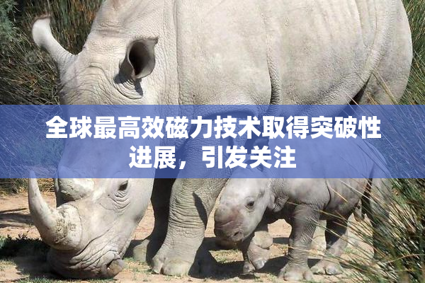 全球最高效磁力技术取得突破性进展，引发关注