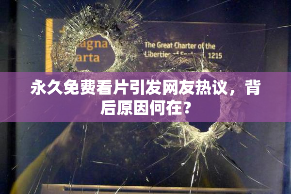 永久免费看片引发网友热议，背后原因何在？
