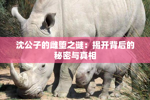 沈公子的雌堕之谜：揭开背后的秘密与真相