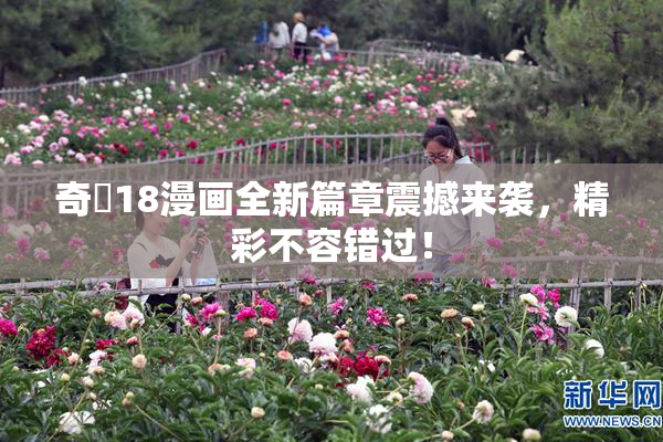 奇犽18漫画全新篇章震撼来袭，精彩不容错过！